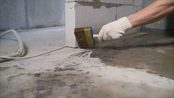 SJ Waterproofing Pros Waterproofing coverage map for Black Creek, WI and surrounding area